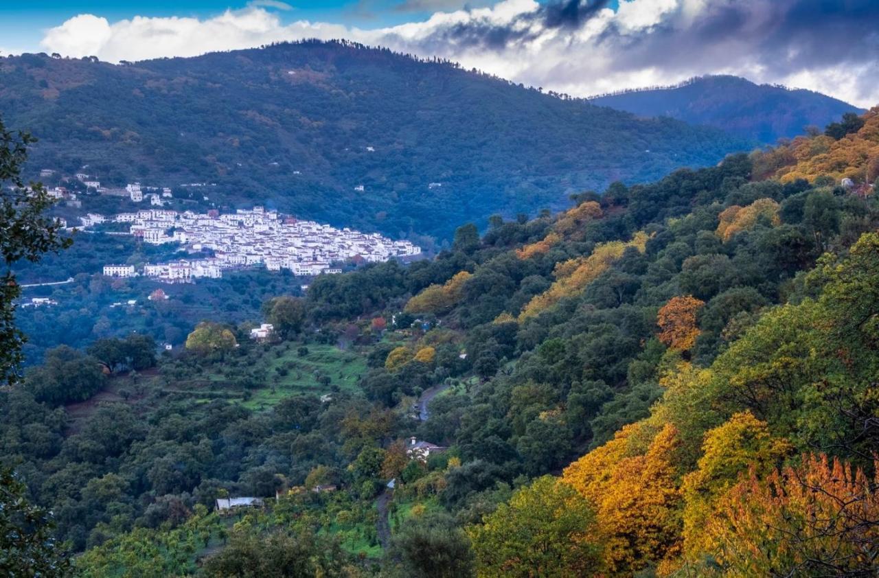Appartamento La marikilla Jubrique Esterno foto